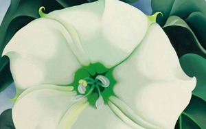 Tranh Okeeffe lập kỷ lục về giá cho tác phẩm của nữ nghệ sĩ